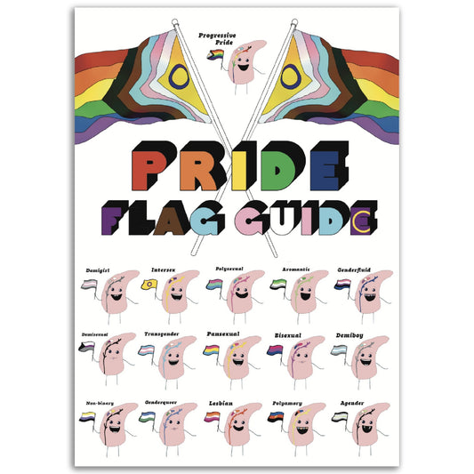 Pride Flag Guide - Print